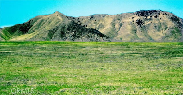 Front Image Thumbnail for CRPI25264691