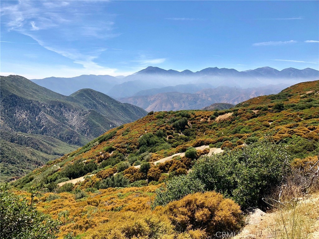 0 Burnt Mill Canyon Road, Cedarpines Park, CA 92322