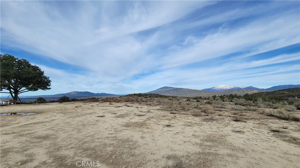 40521 Tweedie Trail