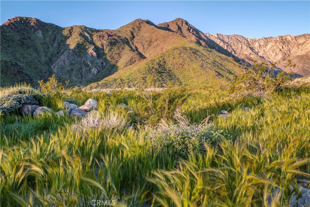 MLS #IG25177250 image #17