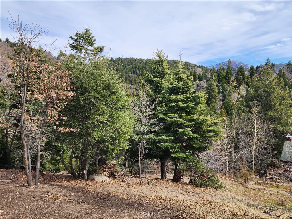 MLS #IG25045374 image #10