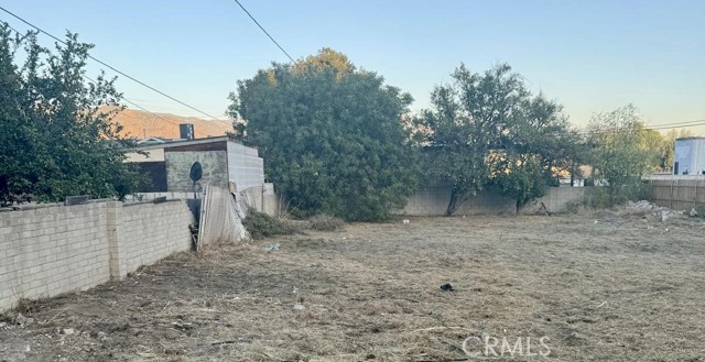 Front Image Thumbnail for CRDW25279775