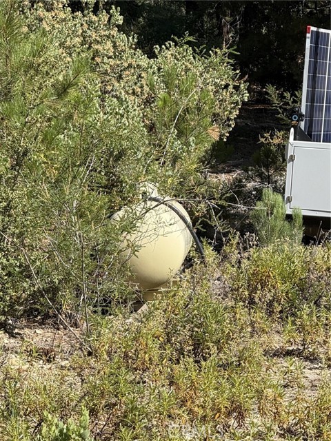 0 Ca-38, Angelus Oaks CA: https://media.crmls.org/medias/99184777-084f-4f48-a446-6d39b3735b93.jpg