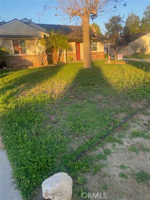 Front Image Thumbnail for CRDW26061144