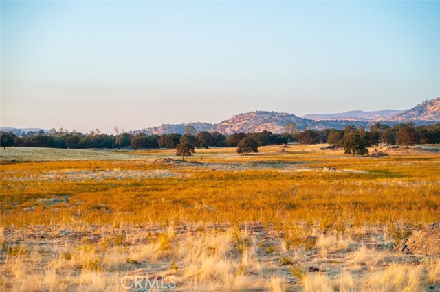 Detail Gallery Image 3 of 39 For 2553 Old Highway, Catheys Valley,  CA 95306 - – Beds | – Baths