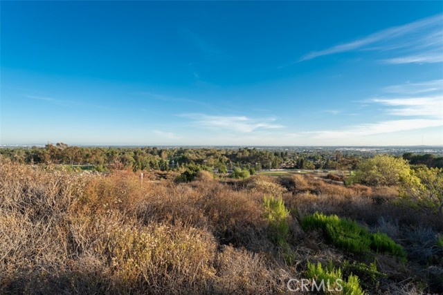 Detail Gallery Image 54 of 75 For 2886 Muir Trail Dr, Fullerton,  CA 92833 - 5 Beds | 3/1 Baths