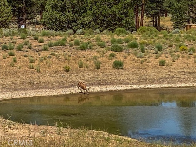 550 Eagle Ridge Rd, Big Bear, CA 92314