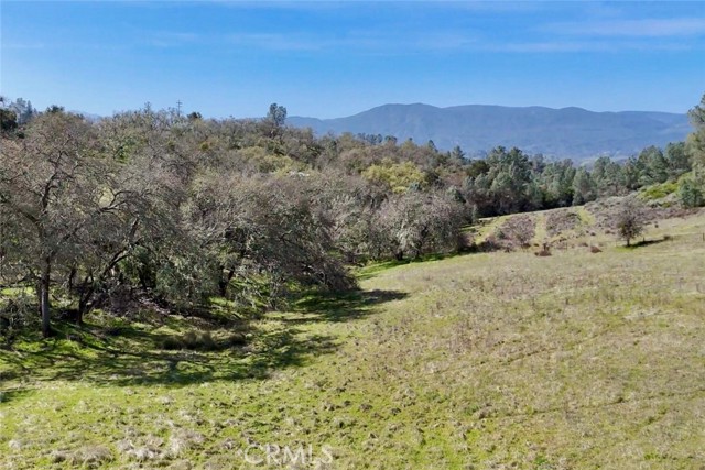 Detail Gallery Image 11 of 17 For 0 Bryson Hesperia Rd, Bradley,  CA 93426 - – Beds | – Baths