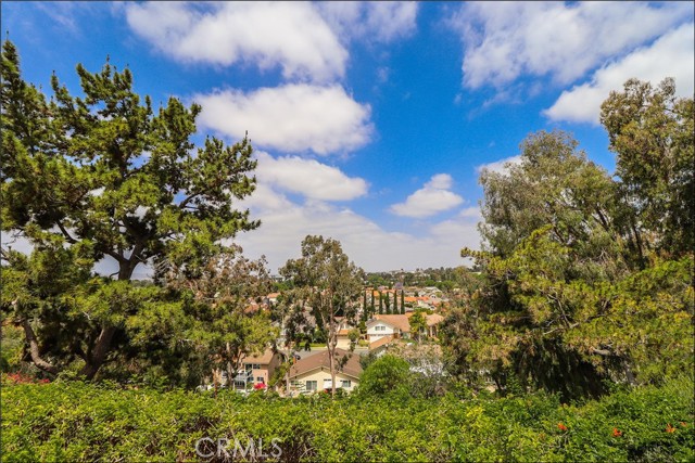 21055 Avenida Magnifica, Lake Forest CA: https://media.crmls.org/medias/992faa73-6129-4e52-aaf2-232482aace18.jpg