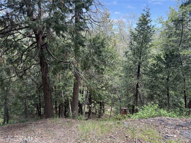 Front Image Thumbnail for CRSR26083495