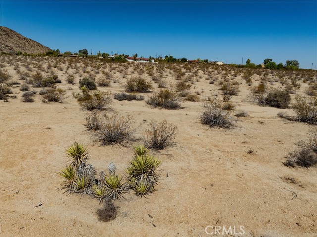 Detail Gallery Image 20 of 21 For 7054 Canyon Rd, Twentynine Palms,  CA 92277 - – Beds | – Baths