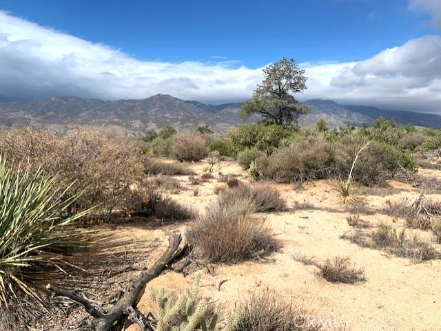 Front Image Thumbnail for CRSW25252964