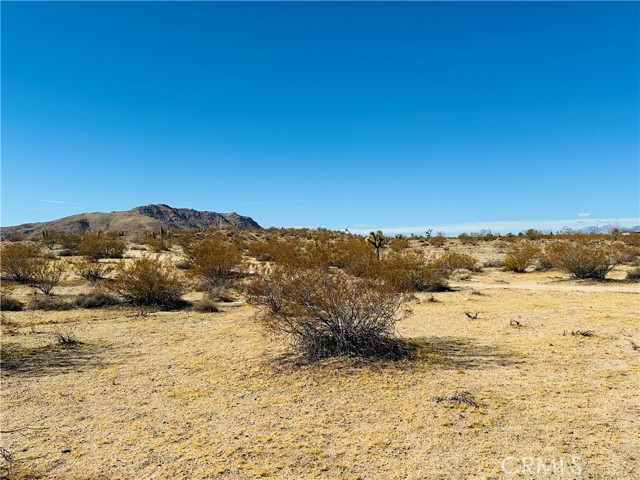 Detail Gallery Image 2 of 9 For 23 Avenida Del Sol, Joshua Tree,  CA 92252 - – Beds | – Baths