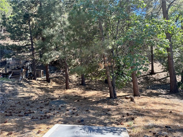 0 Heath Creek Drive, Wrightwood CA: https://media.crmls.org/medias/993c50e2-61e5-4a3b-af64-b5d1f9d72602.jpg