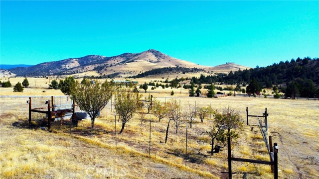 Detail Gallery Image 35 of 41 For 6719 Ager Beswick Road, Montague,  CA 96064 - 3 Beds | 2 Baths