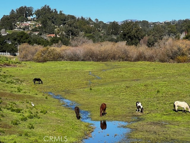 Detail Gallery Image 71 of 74 For 828 Robin Cir, Arroyo Grande,  CA 93420 - 3 Beds | 3/1 Baths