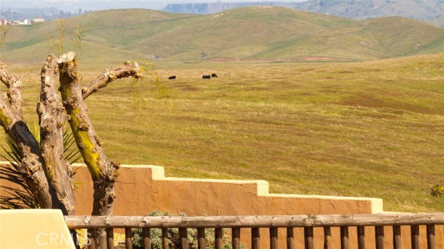 Detail Gallery Image 16 of 64 For 15516 N Friant Rd, Friant,  CA 93626 - 6 Beds | 5/1 Baths