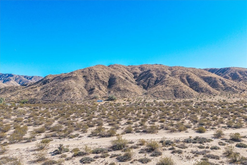 MLS #JT25257791 image #14