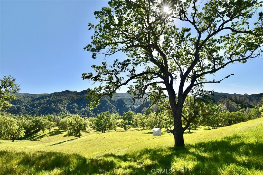 https://media.crmls.org/medias/994dbfbe-a28b-48eb-b0f6-74dc7d4d01d6.jpg?preset=X-Large