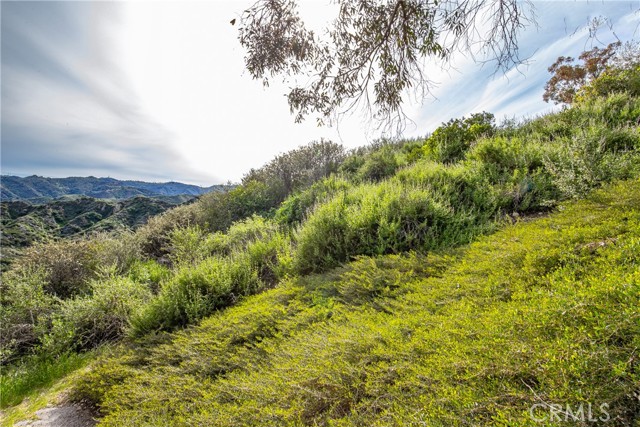 Image 11 of 31 For 24910 Chicory Court