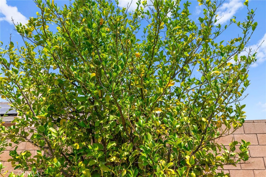 https://media.crmls.org/medias/994ea9c4-9116-4c8d-a7ac-c11384f7df94.jpg?preset=X-Large