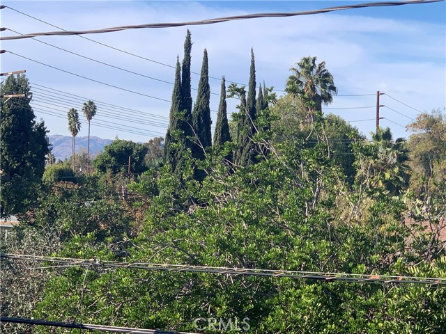 Detail Gallery Image 35 of 38 For 14249 Burbank Bld, Sherman Oaks,  CA 91401 - – Beds | – Baths