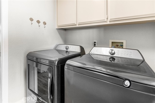 Image 19 of 54 For 1825 Smoke Tree