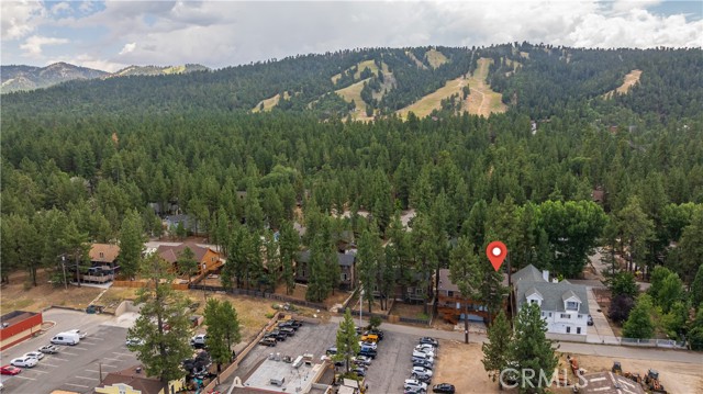 Detail Gallery Image 1 of 1 For 41764 Brownie Ln, Big Bear Lake,  CA 92315 - 2 Beds | 2 Baths