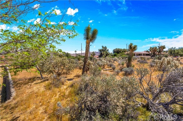 Detail Gallery Image 36 of 50 For 58453 Lisbon Dr, Yucca Valley,  CA 92284 - 3 Beds | 2 Baths