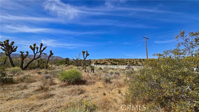 Detail Gallery Image 40 of 49 For 0 103rd St East Vicinity W14, –,  CA 93543 - – Beds | – Baths