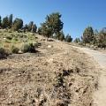 Image 6 of 15 For 0 Ponderosa Ranch Road