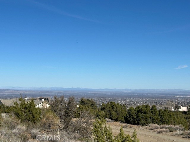 Detail Gallery Image 8 of 11 For 0 Sky Line Dr, Pinon Hills,  CA 92372 - – Beds | – Baths