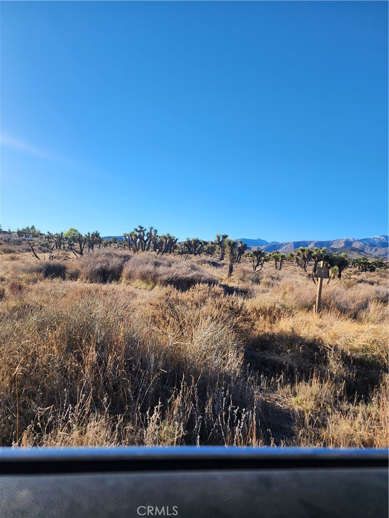 MLS #CV25255822 image #37