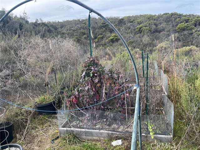 Detail Gallery Image 4 of 8 For 8445 Old Dirt Rd, Kelseyville,  CA 95451 - – Beds | – Baths