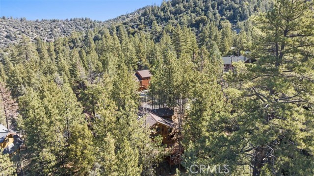 1505 Woodland Drive, Pine Mtn Club, California 93222, 4 Bedrooms Bedrooms, ,2 BathroomsBathrooms,Residential,For Sale,1505 Woodland Drive,CRSR23182326