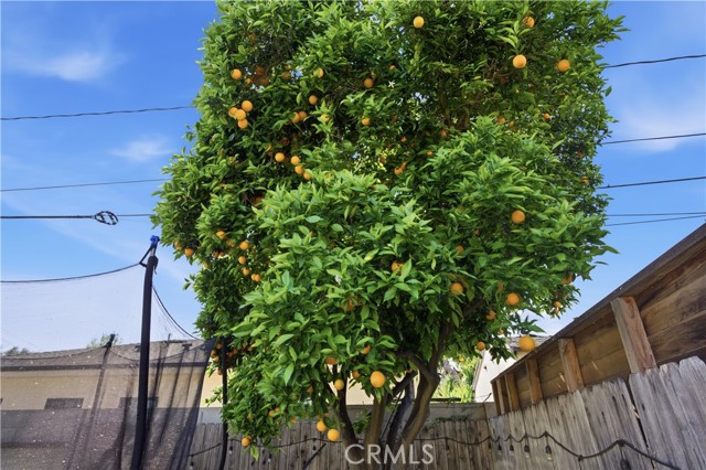 Detail Gallery Image 21 of 22 For 311 S Mariposa St, Burbank,  CA 91506 - 2 Beds | 1 Baths