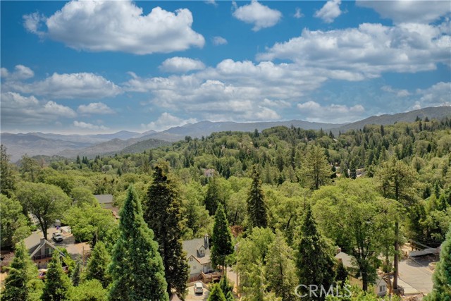 Detail Gallery Image 40 of 49 For 352 Maple Dr, Lake Arrowhead,  CA 92352 - 4 Beds | 2 Baths