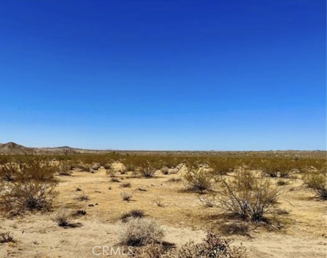 Detail Gallery Image 3 of 4 For 0 Dennis Ave, Joshua Tree,  CA 92252 - – Beds | – Baths