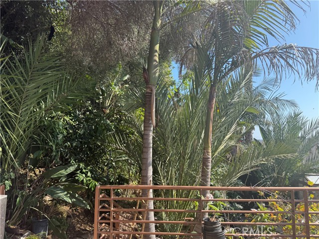 Detail Gallery Image 39 of 58 For 1994 Stanley, Signal Hill,  CA 90755 - 3 Beds | 3 Baths