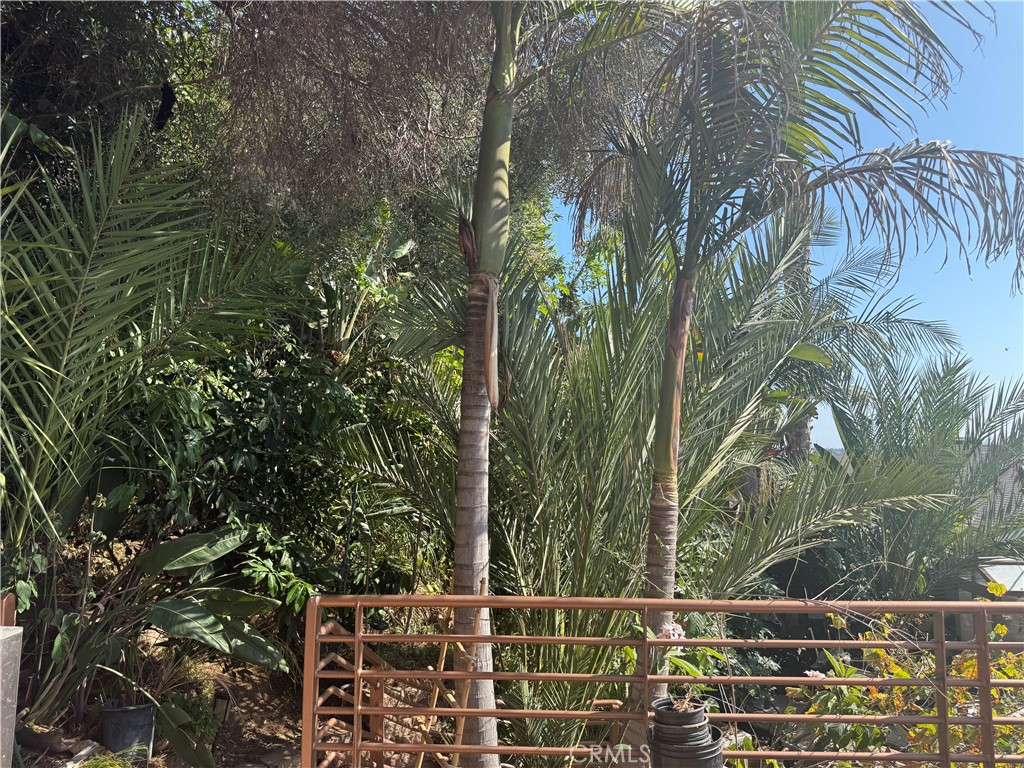 MLS #PW25279844 image #38