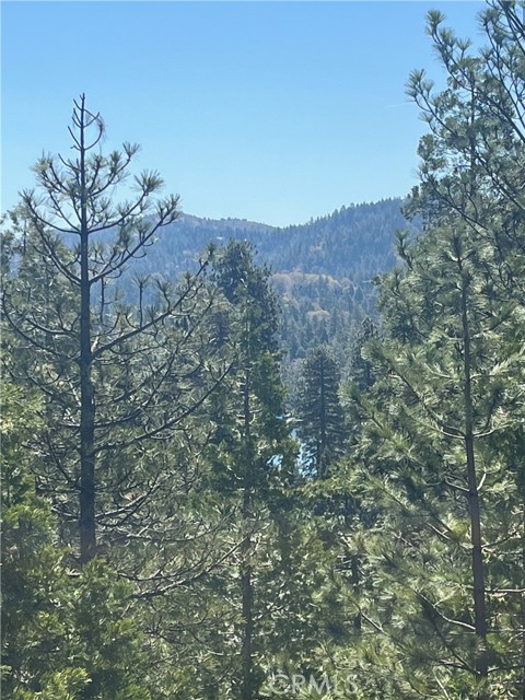 263 Birchwood Drive, Lake Arrowhead, CA, 92352 263 Birchwood Drive, Lake Arrowhead, CA, 92352