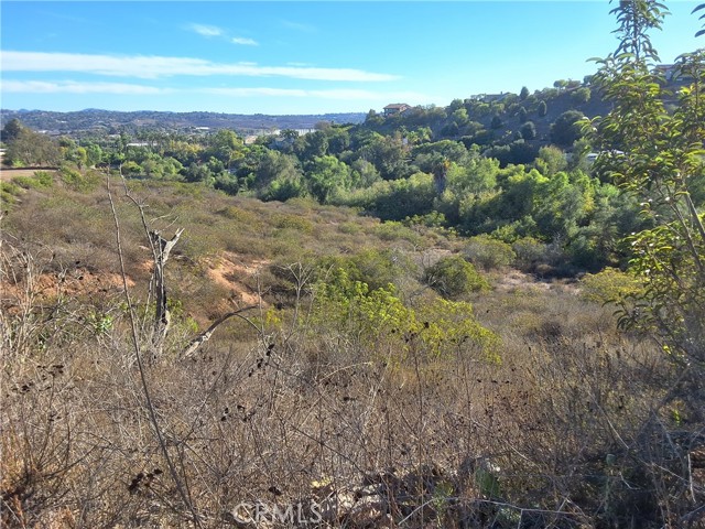 Detail Gallery Image 12 of 25 For 0 via Puerta Del Sol, Bonsall,  CA 92003 - – Beds | – Baths