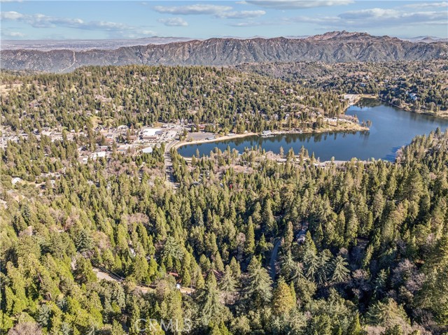 Detail Gallery Image 46 of 46 For 24166 Cresta, Crestline,  CA 92325 - 4 Beds | 3 Baths