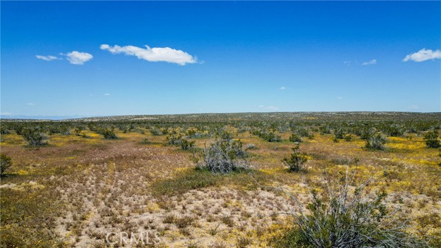 0 226 Vac/226 Ste Drt /Vic Avenue B1, Hi Vista CA: https://media.crmls.org/medias/99915496-a057-4771-ab24-3821360c01e9.jpg