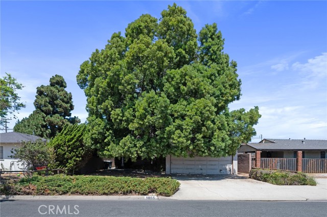 1855 W 154th Place, Gardena CA: https://media.crmls.org/medias/9992e234-47b5-4371-a0af-261851253a54.jpg