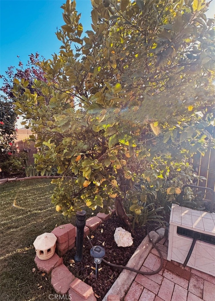 https://media.crmls.org/medias/999300ad-cbf7-474c-9154-5908bcf2149d.jpg?preset=X-Large
