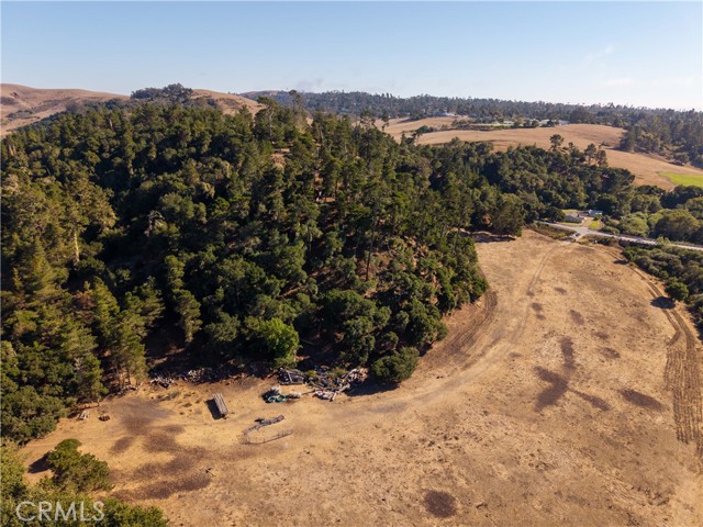 2845 Main Street, Cambria CA: https://media.crmls.org/medias/9993dc13-dcba-4309-9c85-5f766330302a.jpg