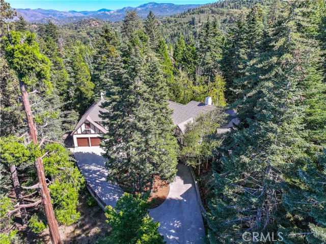 Detail Gallery Image 59 of 72 For 139 Cedar Ridge Dr, Lake Arrowhead,  CA 92352 - 4 Beds | 5 Baths