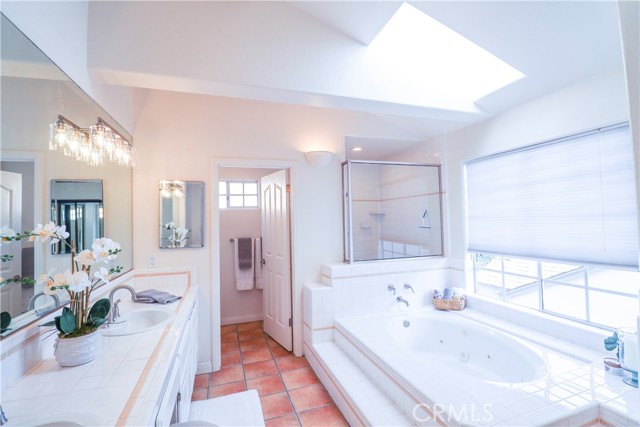 Bright Primary bathroom with skylight!