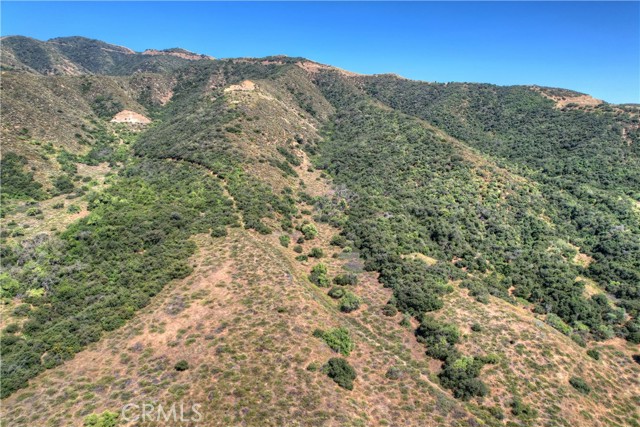 37251 Oak Glen Road, Yucaipa, California 92399, ,Land,For Sale,37251 Oak Glen Road,CREV23114392